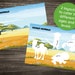 Habitat Matching Game Activity Pack - Kids Matching Game - Rainforest ...
