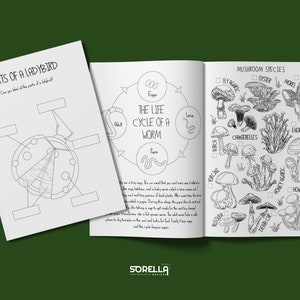 Nature Study Activity Book Plus Identification Flash Cards - Black & white version - Forest school pack instant  Digital download