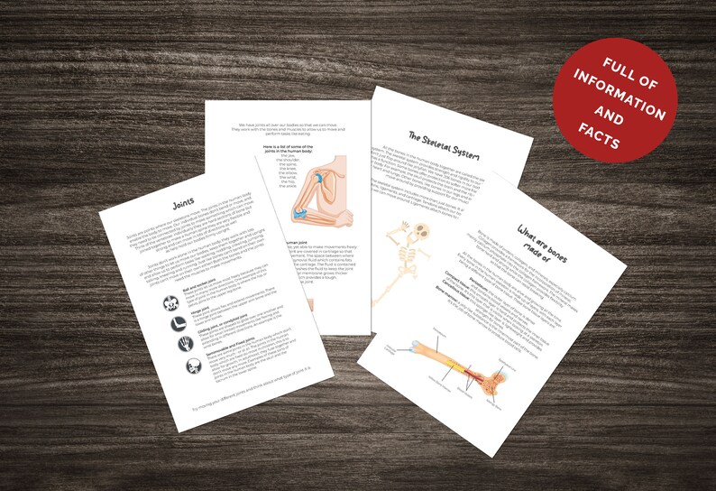 SKELETAL SYSTEM & BONES Unit Study Pack - Biology - Science - Instant ...