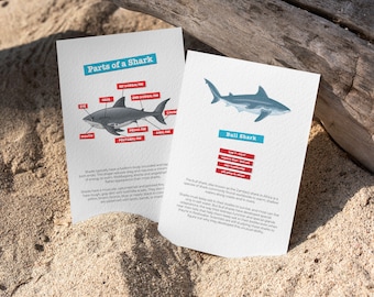 Shark Study Pack - Learning Resource Plus Flash Cards - Biology - Science - Instant Digital Download Art