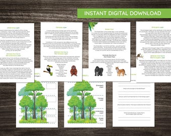 Rainforest Layers Activity Fact Pack - geography educational printable