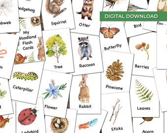 Woodland Forest Flash Cards: Nature Learning (Digital Download)
