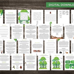Rainforest Einheits-Lernpaket 26 Seiten - Sofortiger digitaler Download - Edukatives Lernen