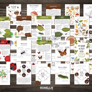 Pacchetto di studio sulla natura - aula all'aperto - più schede di identificazione - Pacchetto scuola nel bosco - risorse educative - bosco