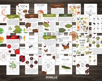Nature Unit Study Pack: Forest School Educational Resources with Flash Cards