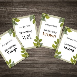 Forest School Scavenger Hunt Flash Cards: Nature Learning (Digital Download) image 4