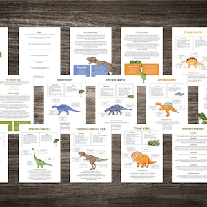 Unità dinosauri Pacchetto attività di studio più schede flash - Biologia - Scienza - Educazione scolastica per bambini - Apprendimento con download digitale istantaneo
