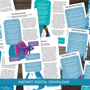 Ocean Flash-kaarten en -posters - Leuke weetjes en informatie - Educatieve leermiddelen - Oceanen van de wereld
