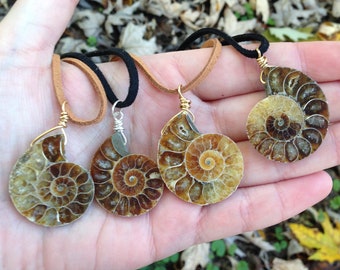 Fossil Ammonite Pendant 40x30mm 1pc #ID-1654 Fossil Ammonite Pendant 40x30mm 1pc #ID-1654