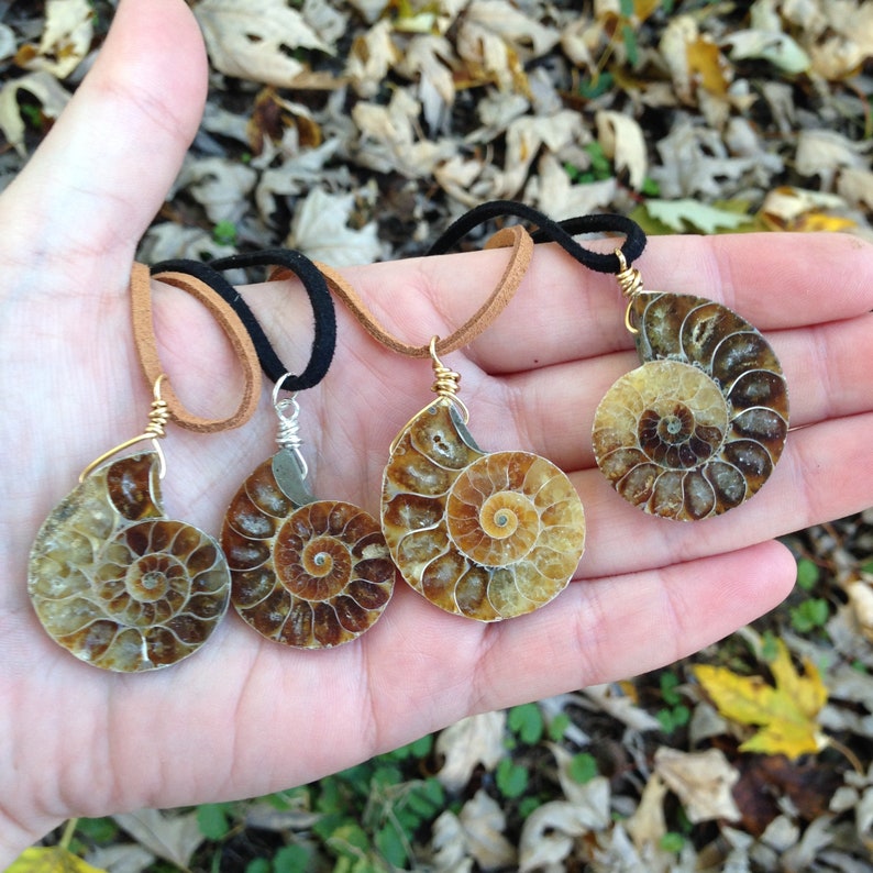 real fossil necklace