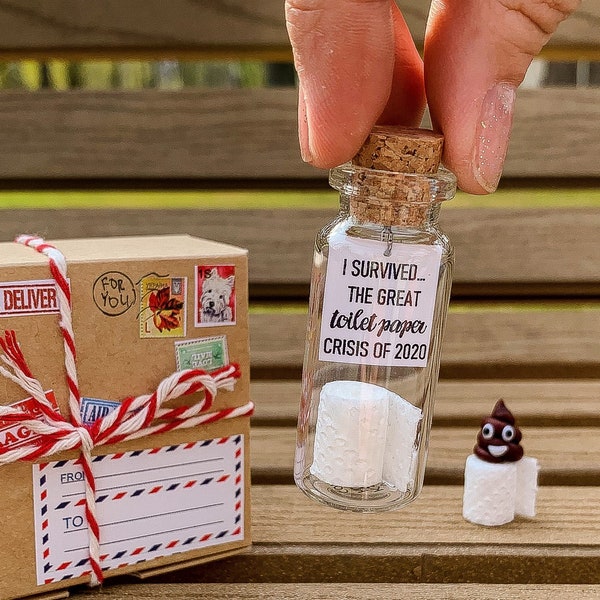 Toilet Paper 2020 Etsy
