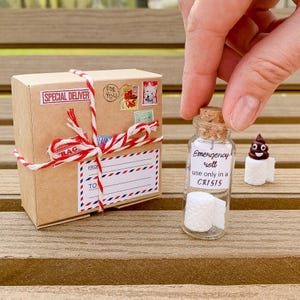May include: A small brown cardboard gift box tied with red and white twine, featuring postage stamps and labels. Beside it, a clear glass bottle with a cork stopper contains a miniature toilet paper roll and a label reading Emergency roll use only in a CRISIS.