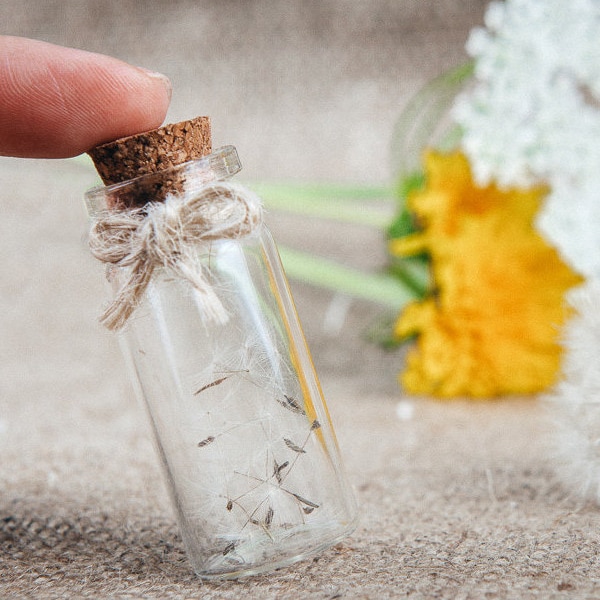 Dandelion seeds mini bottles  Boho Wedding favors Rustic Natural wedding favors Bridal shower Keepsake Wishing favors Terrarium bottle