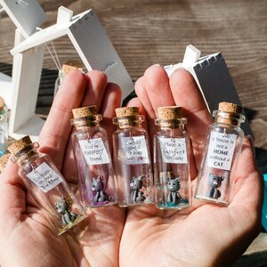 a person holding four miniature bottles with miniature cats in them