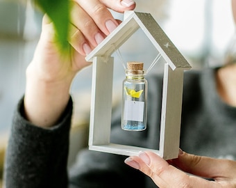 House Floating Frame, Handmade wood frame for Message in a bottle