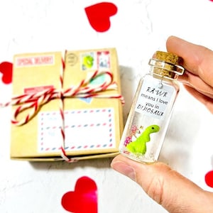 Be my valentine Gift For Girlfriend or Boyfriend, Tiny Miniature Dinosaur with message in a Bottle Personalized dating anniversary gift