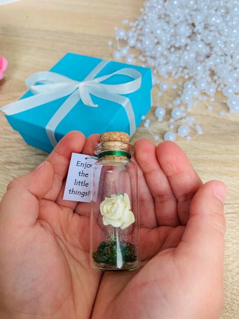 Forever Rose Girlfriend Gift Miniature Gift for Her Beauty Etsy