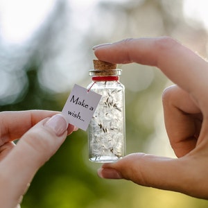 Make a wish Magic charm bottle for friend Personalized gift for her Wishing gift Wish in a bottle Fairy bottle Wish jar