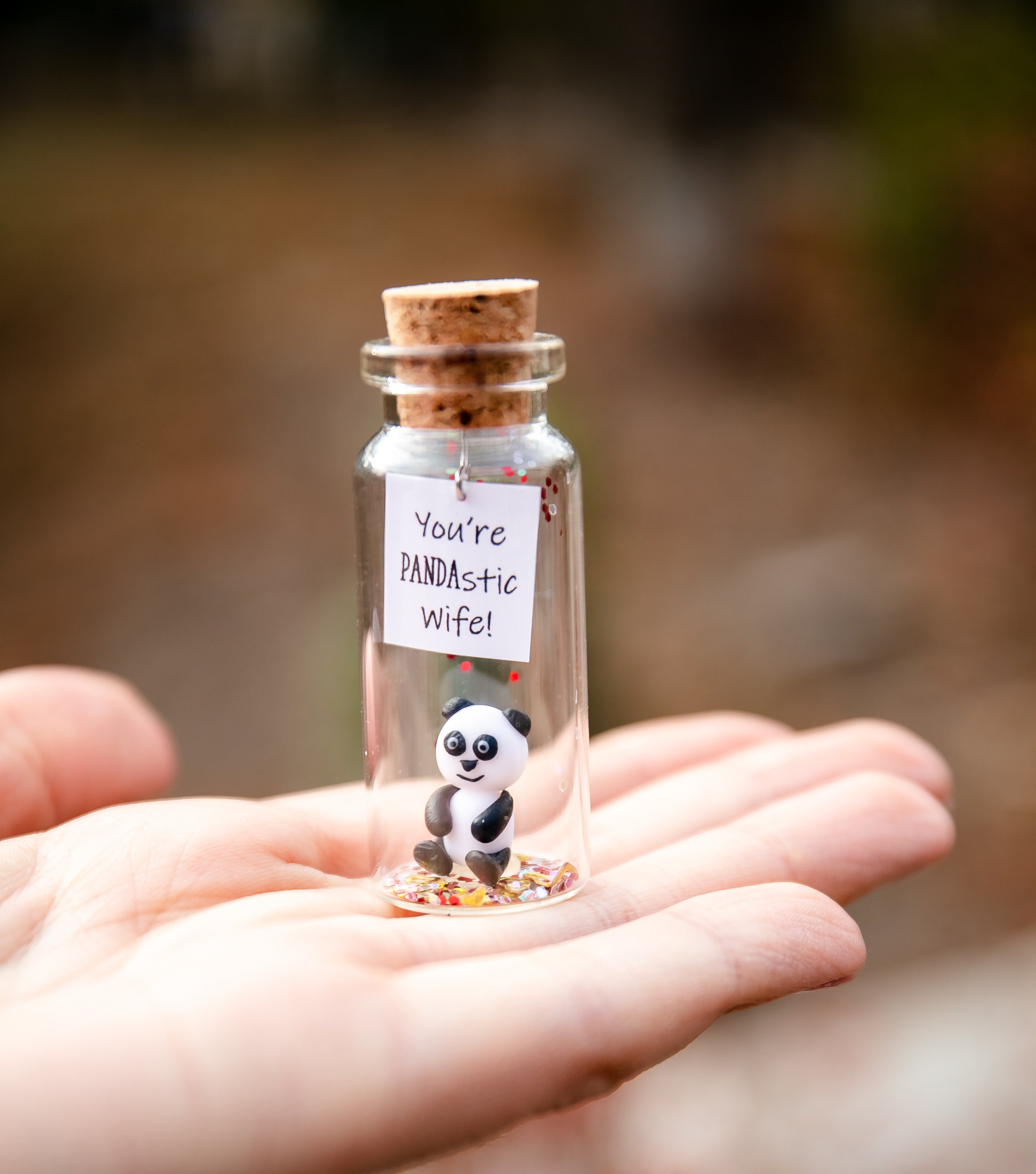 Cute Wife Gift Panda Bear Gift for Wife Small Present for Wife