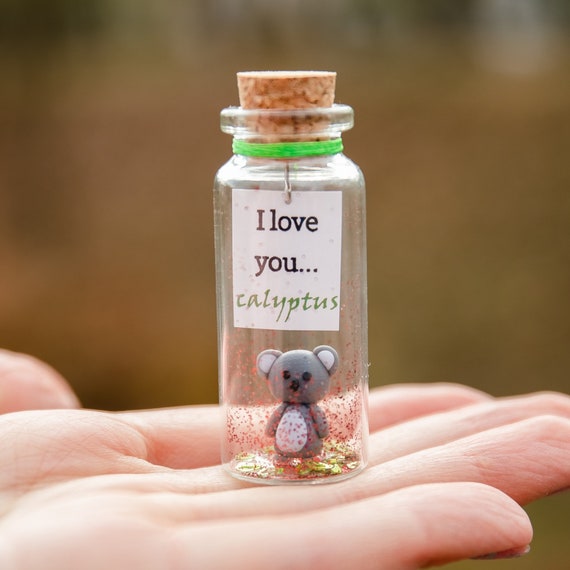I Love You Adorable Koala Bear Gift for Boyfriend or Girlfriend Sympathy  Present for Him or Her Positive Affirmations Cute Gift for Wife 