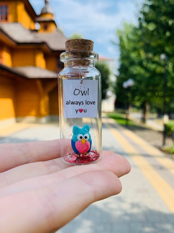 Cadeau mignon pour mari femme cadeau pas cher pour les proches amour pot de  souhaits cadeau d'anniversaire pas cher pour petite amie ou petit ami hibou  kawaii drôle -  France