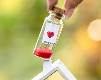 I Love You Message In a Bottle Valentines Day Gift Romantic Gift for him Personalized gift for girlfriend Funny Valentines Day gift