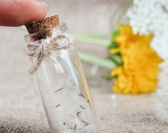 Dandelion seeds mini bottles  Boho Wedding favors Rustic Natural wedding favors Bridal shower Keepsake Wishing favors Terrarium bottle