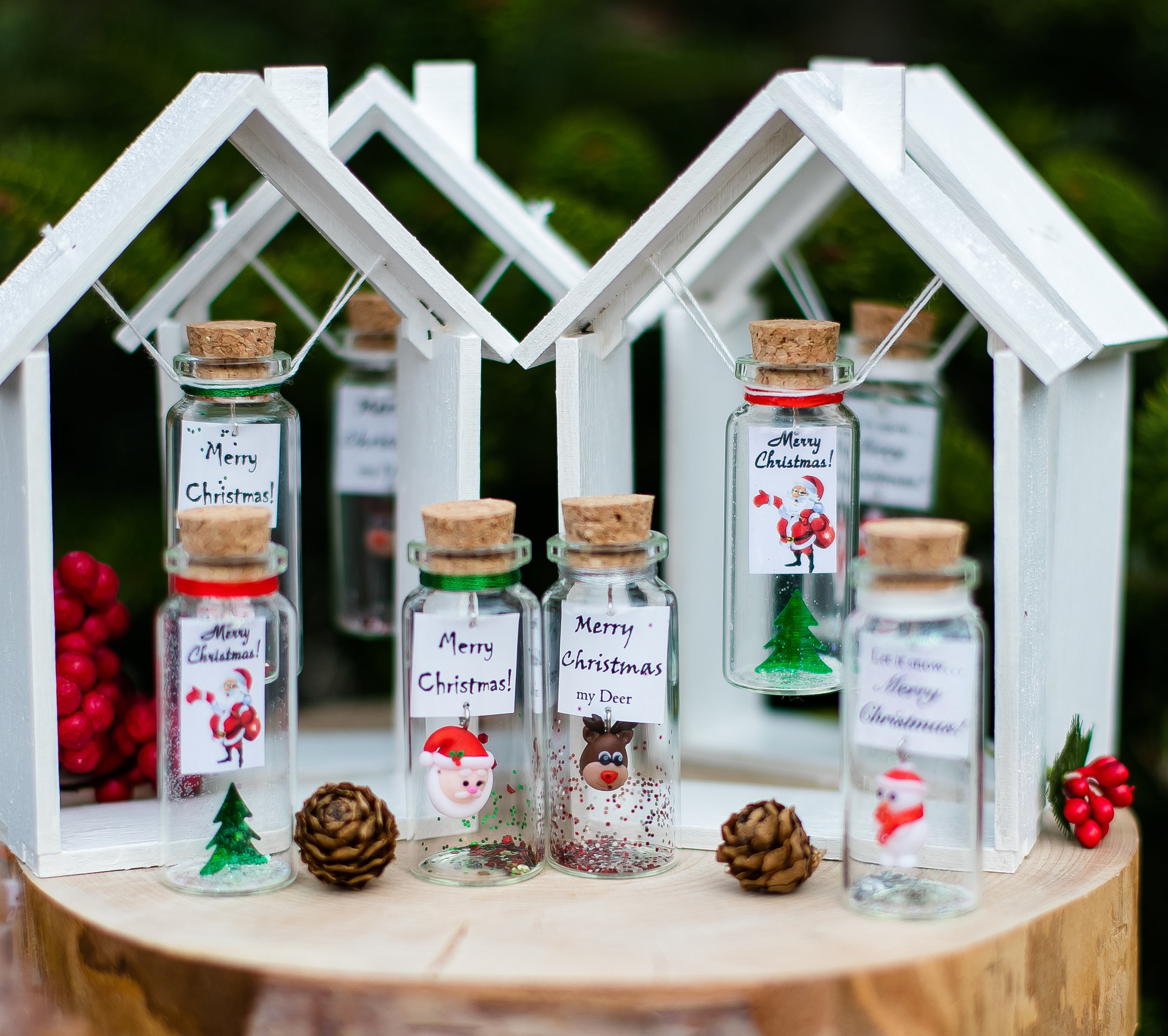 Kseniya Revta Inspirational Message In A Bottle Gift Idea - Classy Gifts For Friends And Family - Unique Boyfriend Girlfriend Presents (White Unicorn - I Always Believed In You, In Wooden