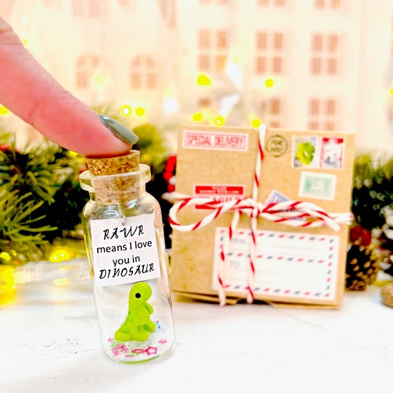 Christmas Gift for Him or Her, Cute Funny Boyfriend or Girlfriend