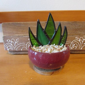 Stained Glass Mini Succulents