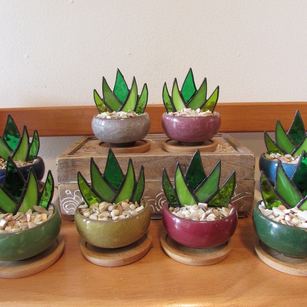 Stained Glass Mini Succulents
