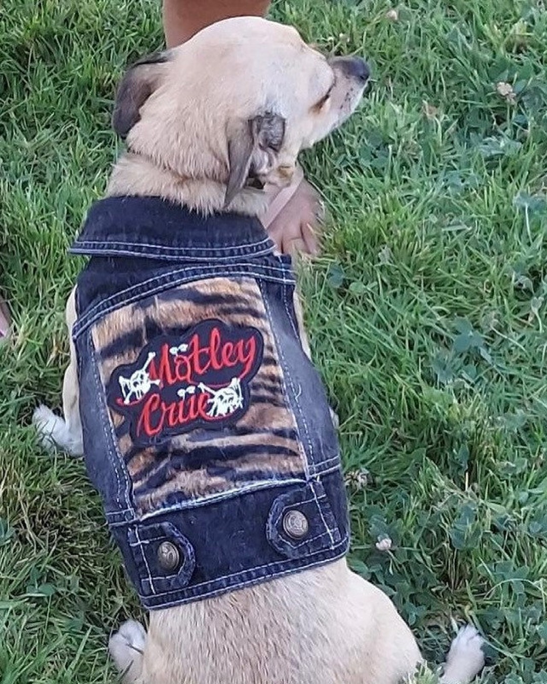 Motley Crue Denim Pet Jackets Etsy