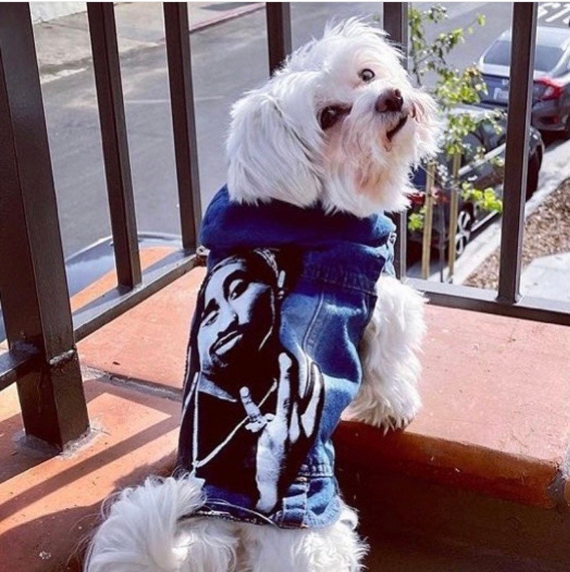 Tupac Denim Pet Jackets - Etsy