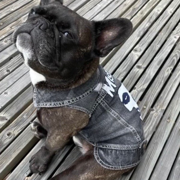 The Misfits Denim Pet Jackets