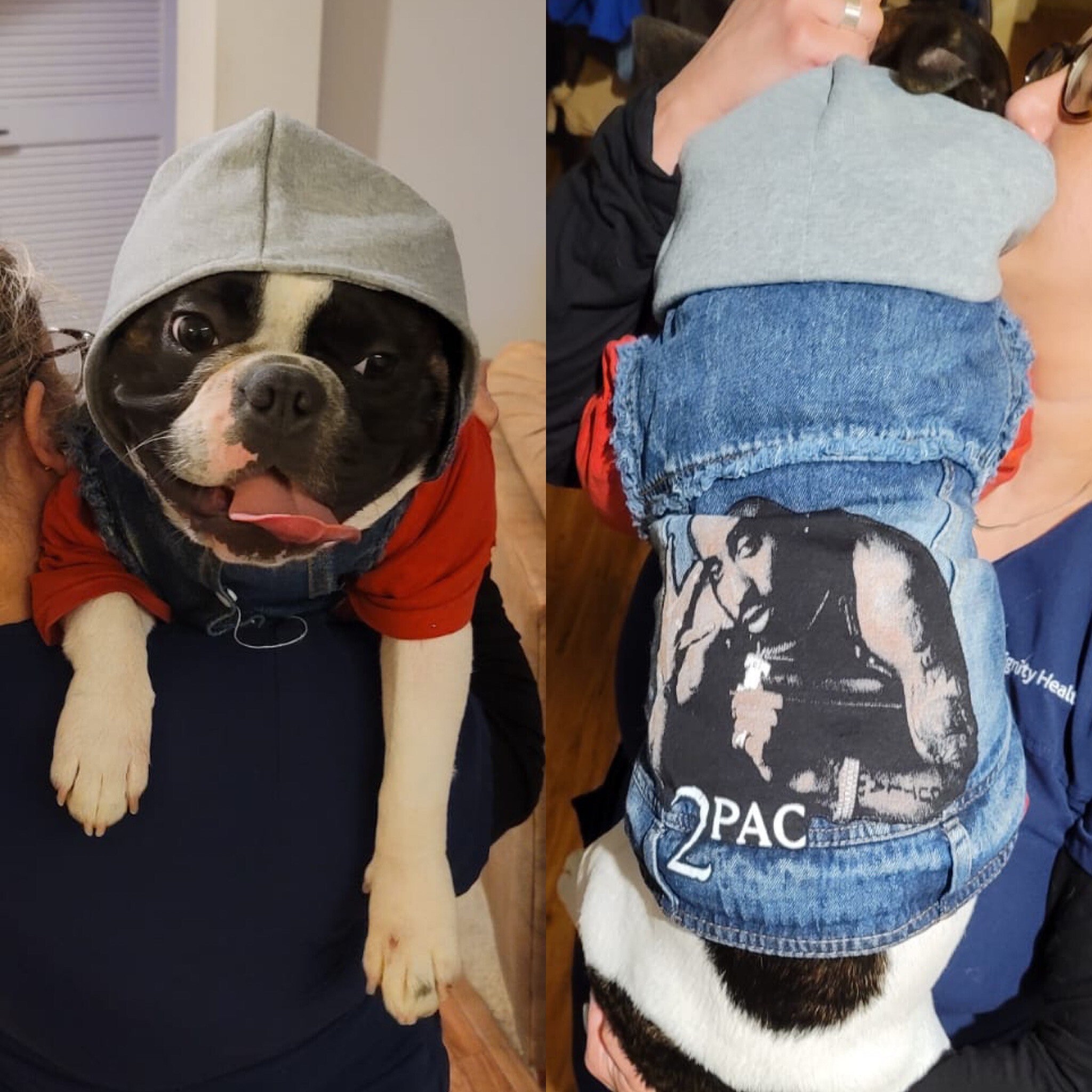 Tupac Denim Pet Jackets - Etsy