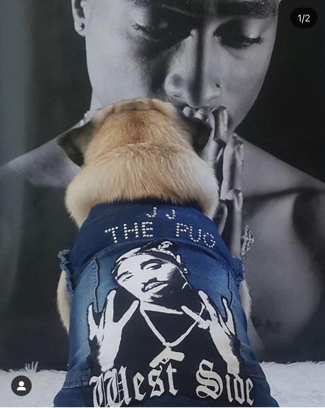 Tupac Denim Pet Jackets - Etsy