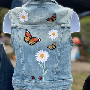 Butterflies and daisies