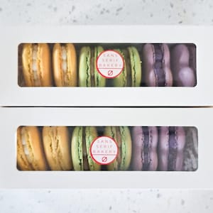PDF Macaron Piping Templates - 4 Basic Shapes