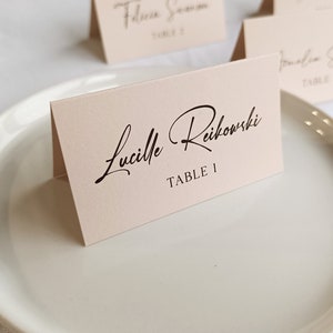 Simple Escort Cards, Biscuit shade cards, Printed place cards, Tent escort cards, cream Name Cards, Wedding Escort Cards, Elegant Name Cards