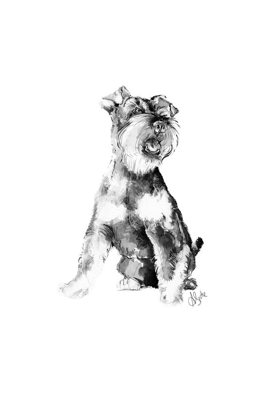 miniature schnauzer art