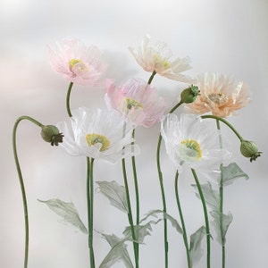 Meraviglioso paese delle meraviglie floreale, 6 papaveri giganti in organza con 3 boccioli, decorazione di sfondo con fiori di grandi dimensioni, design per eventi e vetrine
