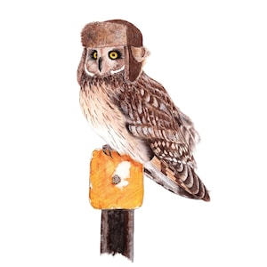 No.26 - "Coruja-de-orelha-curta com caçador" - impressão artística giclée de alta qualidade de 8x10", assinada pelo artista