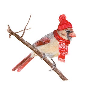 No.16 - "Cardinal with Stocking Cap" - high-quality 8x10" giclée fine art print, signed by artist