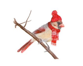 No.16 - "Cardinal with Stocking Cap" - high-quality 8x10" giclée fine art print, signed by artist