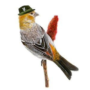 No.17 - "Pine Grosbeak with Alpine Hat" - high-quality 8x10" giclée fine art print, signed by artist