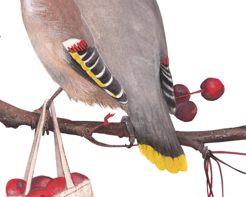 May include: A gray and yellow bird with red and black markings on its wings is perched on a branch. The bird is holding a small bag filled with red berries. The bag is hanging from the branch.
