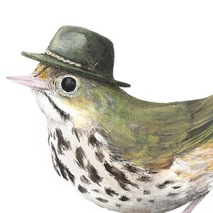 No.22 Ovenbird with Stetson Explorer high-quality 8x10 giclée fine art print, signed by artist image 2