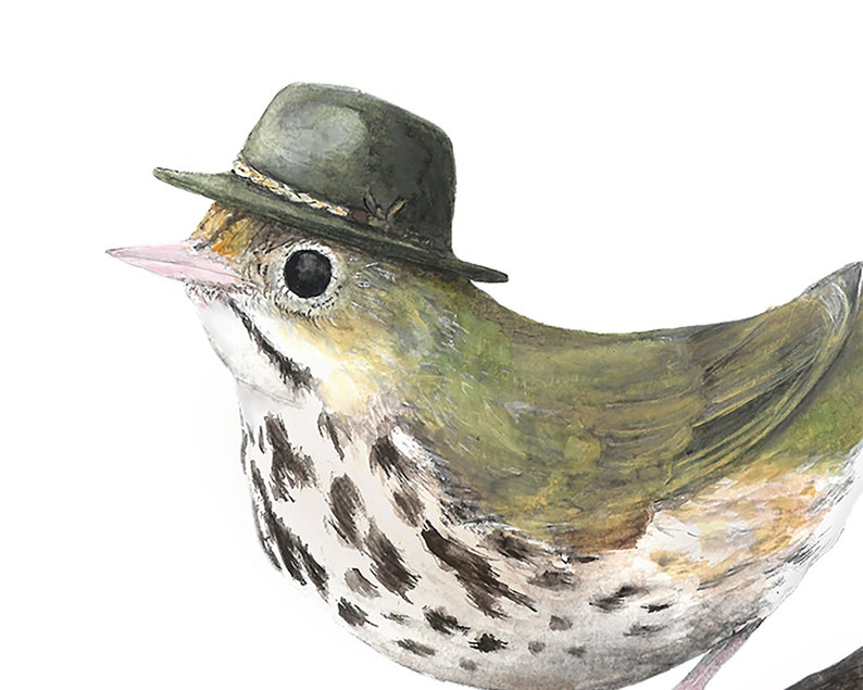 No.22 Ovenbird with Stetson Explorer high-quality 8x10 giclée fine art print, signed by artist image 2