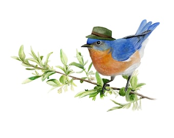 Art Print No.8 - "Eastern Bluebird with Fedora"