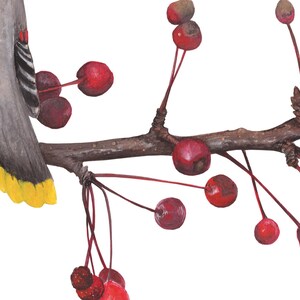May include: A gray and yellow bird perched on a branch with red berries. The bird has a yellow breast and a gray head. The branch is brown and has many red berries hanging from it.